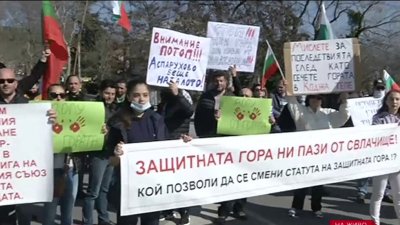 Пореден протест във Варна срещу изсичането на гората 