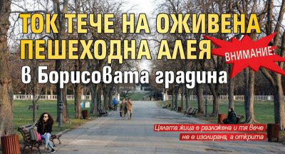 ВНИМАНИЕ: Ток тече на оживена пешеходна алея в Борисовата градина 