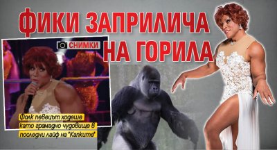 Фики заприлича на горила (Снимки)