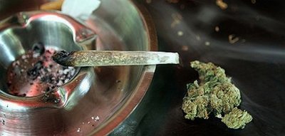 Заради пандемията: Тревата скочи с 20%