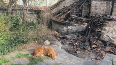 Скитник подпали заведение в стария Пловдив