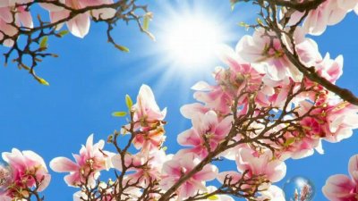 В неделя температурите пак скачат до 20С 