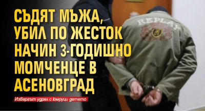 Съдят мъжа, убил по жесток начин 3-годишно момченце в Асеновград