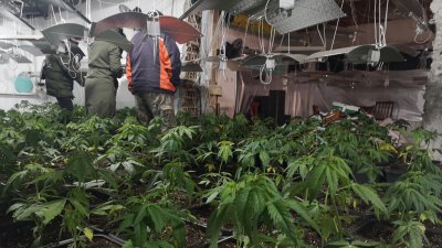 Разкриха модерна нарколаборатория близо до църква