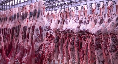 Брекзит срина британските доставки на сьомга, говеждо и уиски за ЕС