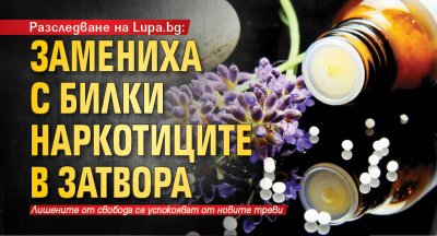Разследване на Lupa.bg: Замениха с билки наркотиците в затвора