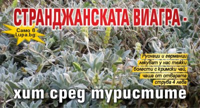 Само в Lupa.bg: Странджанската виагра - хит сред туристите