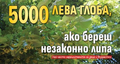 5000 лева глоба, ако береш незаконно липа