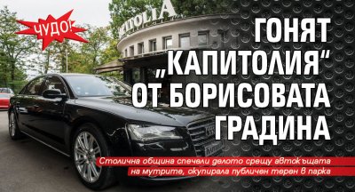 Чудо! Гонят „Капитолия“ от Борисовата градина