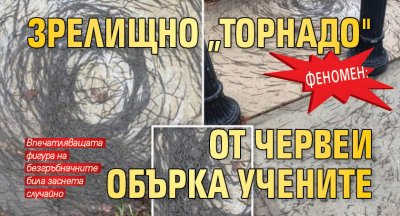 Феномен: Зрелищно „торнадо" от червеи обърка учените