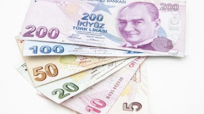 Турската лира се срина до 20 стотинки