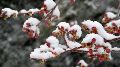 Още 2 дни в капана на ледената пролет 