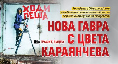 Нова гавра с Цвета Караянчева (графит, видео)