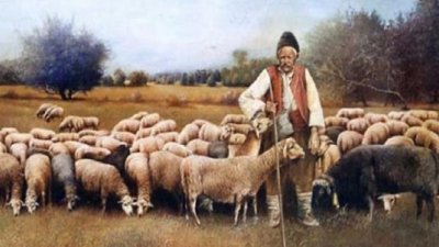 Шофьор прегази и уби овчар край Кърджали