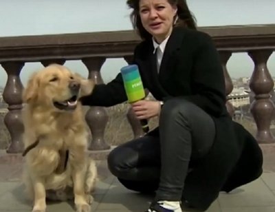 Куче гепи микрофона на „мисирка” в Москва (ВИДЕО)