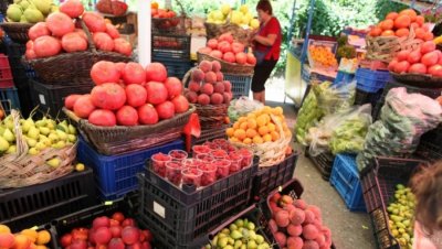 Спряха вноса на храни с токсини и пестициди