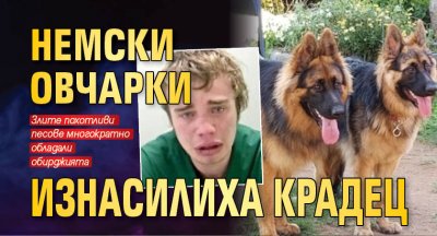 Немски овчарки изнасилиха крадец