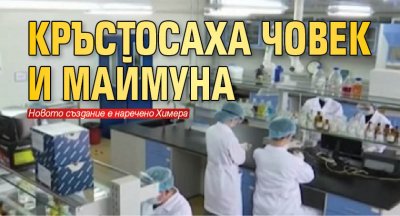 Кръстосаха човек и маймуна