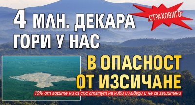 Страховито: 4 млн. декара гори у нас в опасност от изсичане