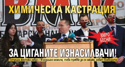 ВМРО бесни: Химическа кастрация за циганите изнасилвачи!