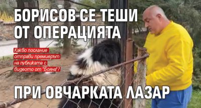 Борисов се теши от операцията при овчарката Лазар 