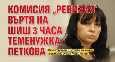 Комисия "Ревизия" въртя на шиш 3 часа Теменужка Петкова