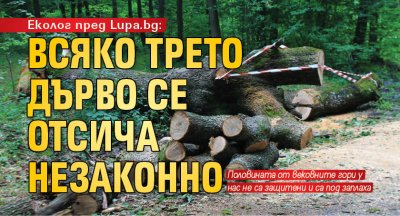 Еколог пред Lupa.bg: Всяко трето дърво се отсича незаконно