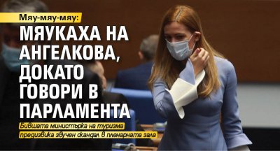 Мяу-мяу-мяу: Мяукаха на Ангелкова, докато говори в парламента 