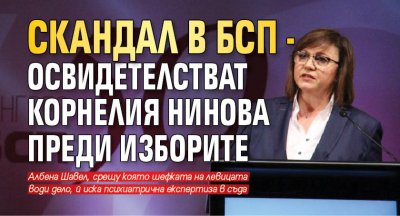 Скандал в БСП - освидетелстват Корнелия Нинова преди изборите 