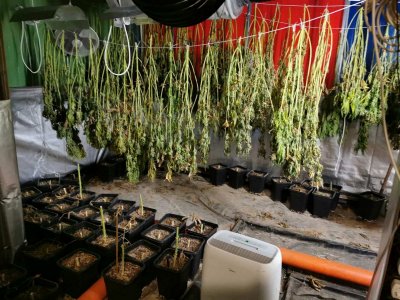 Спецакция в Бургас: Арестуваха седем души в нарколаборатория