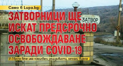 Само в Lupa.bg: Затворници ще искат предсрочно освобождаване заради COVID-19