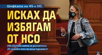 Шефката на 45-о НС: Исках да избягам от НСО