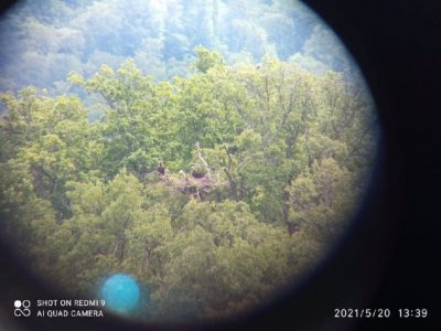 Извънредно! Излюпи се карталче в Стара планина