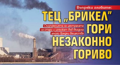 Въпреки глобите: ТЕЦ "Брикел" гори незаконно гориво