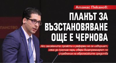 Атанас Пеканов: Планът за възстановяване още е чернова