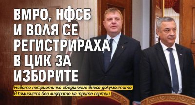 ВМРО, НФСБ и ВОЛЯ се регистрираха в ЦИК за изборите 