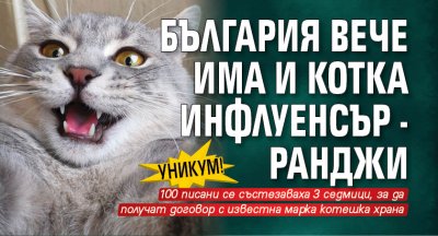 Уникум! България вече има и котка инфлуенсър - Ранджи