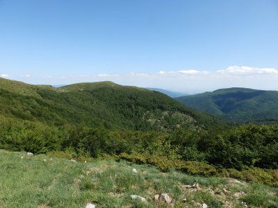 Дядо оцеля 5 нощи в гората сред вълци