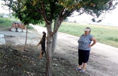 Жестокост: Жена обеси кученце в Раковски