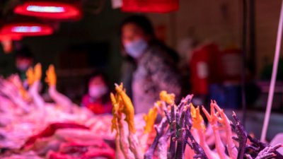 Край няма: Нова зараза плъзва в Китай
