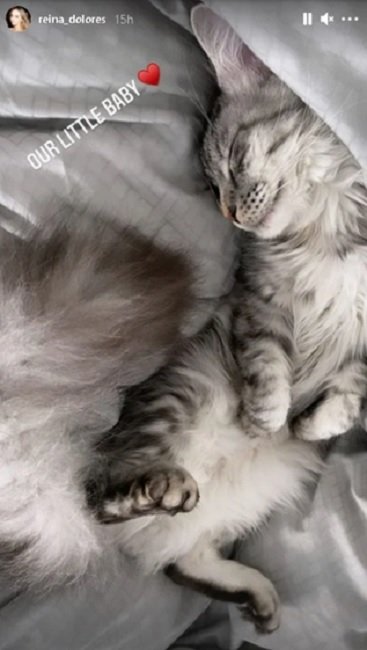 Вижте котето на Лолита Османова