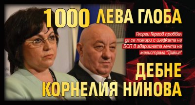 1000 лева глоба дебне Корнелия Нинова