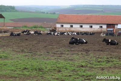 Инспекторите по труда тръгват на проверка по нивите и фермите