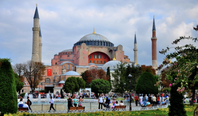 Нов опасен вирус откриха в Истанбул