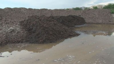 Изхвърлят тонове водорасли и боклуци в бургаския кв. "Сарафово"