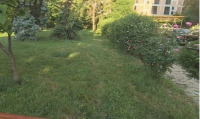 Куриоз! Глобиха доброволци, засадили цветя 