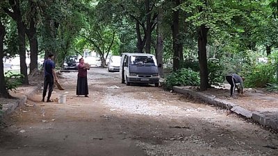 Роми метат липов цвят от калта - кой ще пие този чай?