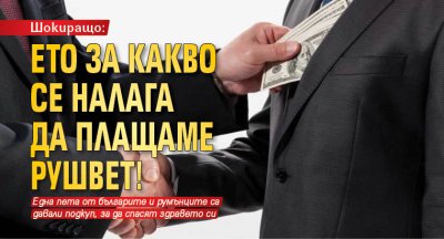 Шокиращо: Ето за какво се налага да плащаме рушвет!