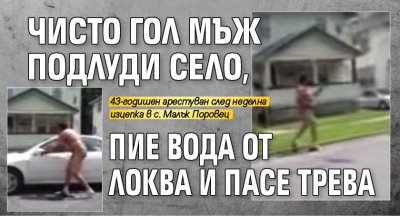 Чисто гол мъж подлуди село, пие вода от локва и пасе трева