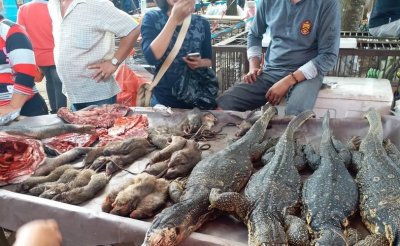 НОВО 20: На пазара в Ухан не продават прилепи